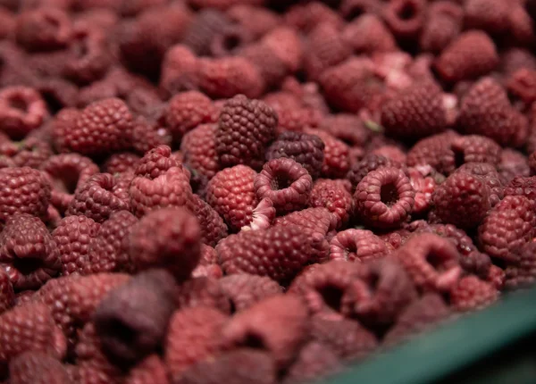 Якість продукту <span>Гарантована висока якість ягід, оскільки вони проходять через строгий контроль щодо вмісту домішок, що сприяє їхньому зберіганню та свіжості.</span>